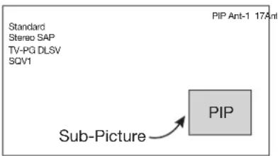 Standard Stereo SAP TV-PG DLSV SQV1 PIP Ant-1 17Ant Sub-Picture PIP