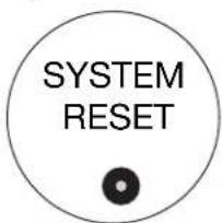 SYSTEM RESET