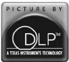 PICTURE BY DLP™ A TEXAS INSTRUMENTS TECHNOLOGY