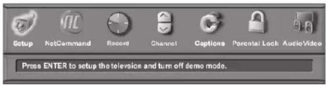 Setup NetCommand Record Channel Captions Parental Lock AudioVideo Press ENTER to setup the television and turn off demo mode.
