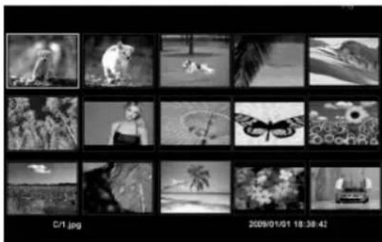 Grid of black-and-white nature photos including animals, landscapes, butterflies, and cars (no text or symbols)