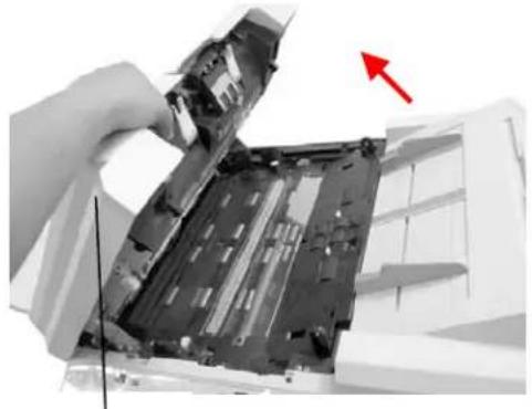 Close-up of hands installing or adjusting a computer motherboard with a red arrow pointing to the component (no visible text or symbols)