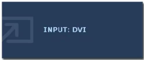 INPUT: DVI