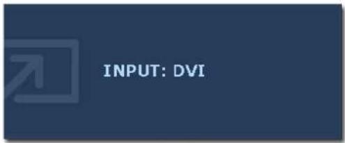 INPUT: DVI