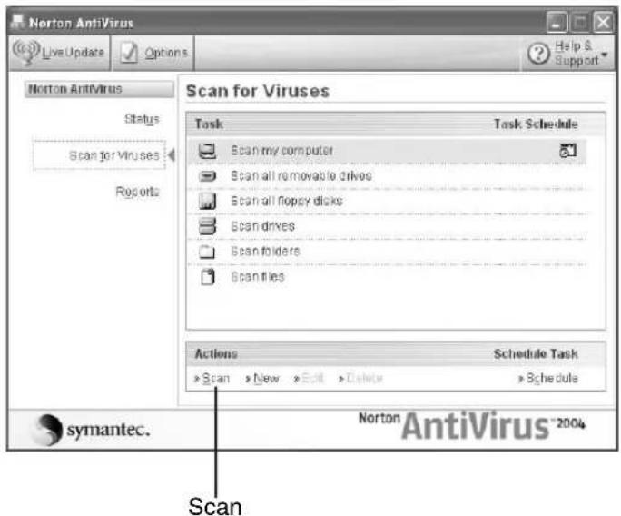 Norton AntiVirus Live Update Options Help & Help & Support Norton AntiVirus Status Scan for Viruses Reports Scan for Viruses Task Task Schedule Scan my computer Scan all removable drives Scan all floppy disks Scan drives Scan folders Scan files Actions Schedule Task Scan New Edit Delete Schedule symantec. Norton AntiVirus®2004 Scan