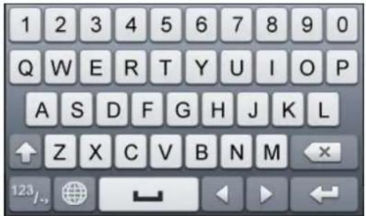 Hikvision DS-9616NI-RT - Input Method Description - 1