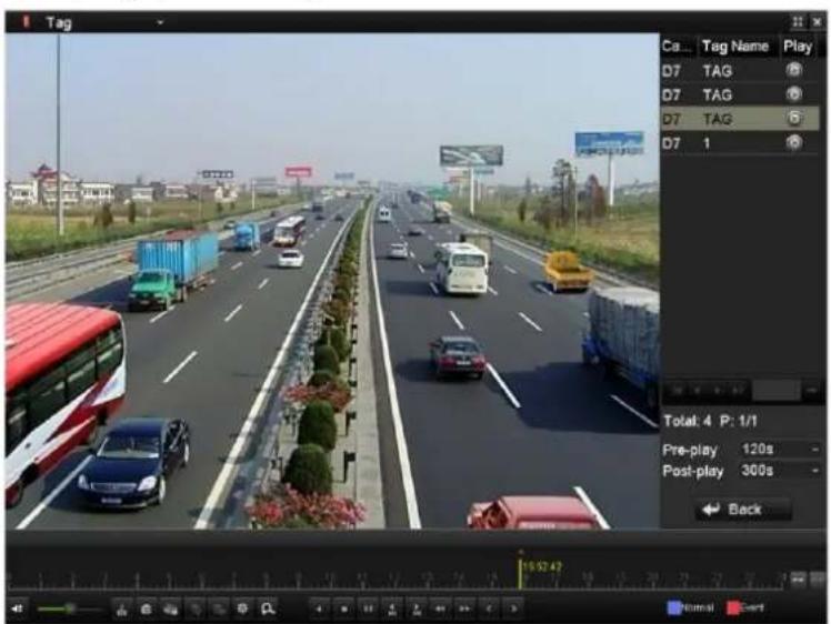 Hikvision DS-9616NI-RT - Click button to play back the file. - 2