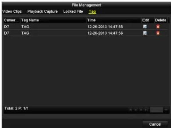 Hikvision DS-9616NI-RT - Before playing back by tag: - 3