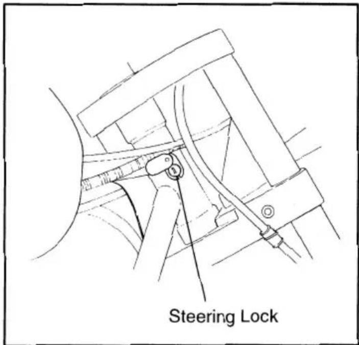 Steering Lock