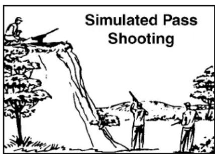 Simulated Pass Shooting