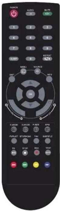 POWER AUDIO MUTE 1 2 3 4 5 6 7 8 9 0 RESET MENU SOURCE DST N-0 OK OK F/MODR S/MODE P/AMR R/PB P/BRIED BY/RMND FAV R/WNTLE TS STOP REC TP&T USB OK + - + - + - - + - - + - - + - - + - - - + - - -