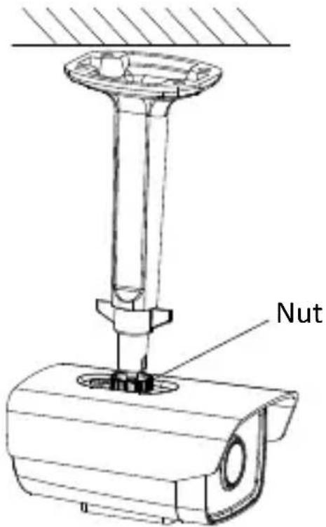 Nut