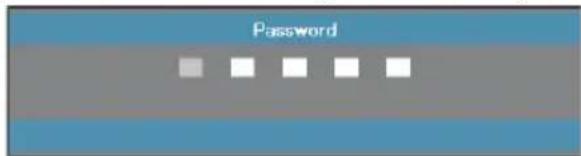 Password
