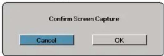 Confirm Screen Capture Cancel OK