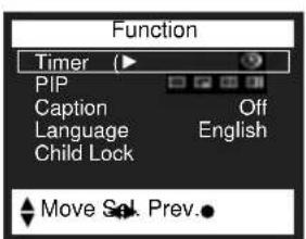 Function Timer (▶) PIP Caption Off Language English Child Lock Move Sol. Prev.
