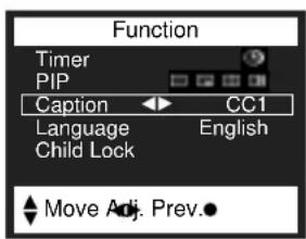 Function Timer PIP Caption CC1 Language English Child Lock