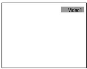 Video1