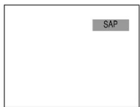 SAP