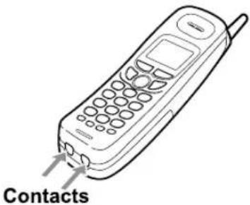 Contacts