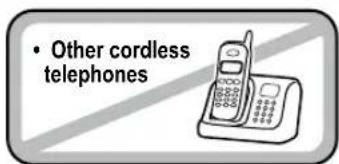 • Other cordless telephones
