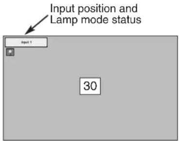 Input position and Lamp mode status input 1 30