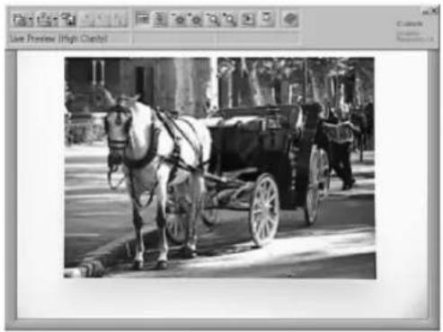 CANON DZ3600U - DZ-3600U Presentation Software - 1