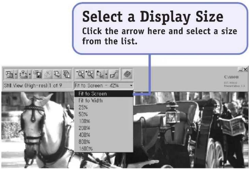 Select a Display Size Click the arrow here and select a size from the list. Still View (High-res) 1 of 9 Fit to Screen - 42% Fit to Screen Fit to Width 25% 50% 100% 200% 400% 800% 1600%