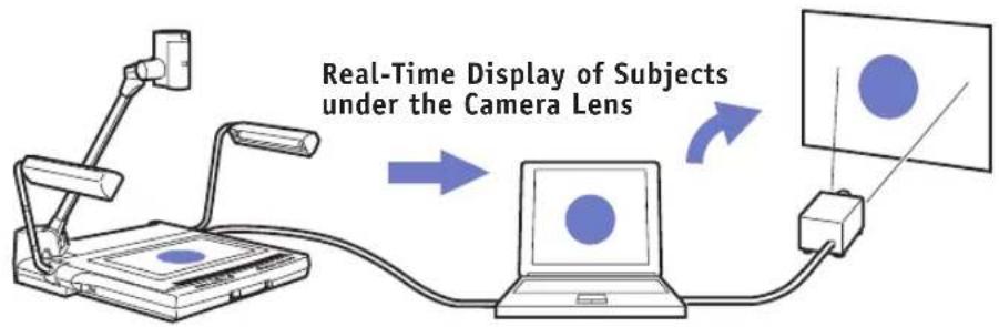 Real-Time Display of Subjects under the Camera Lens