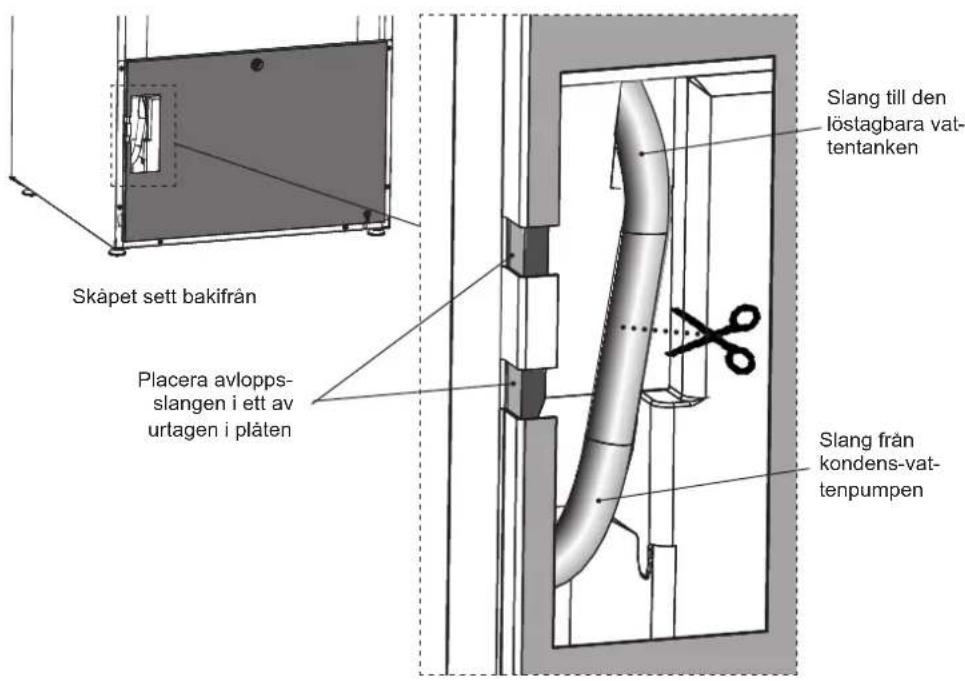 Skåpet sett bakifrån Placera avlopps- slangen i ett av urtagen i plåten Slang till den löstagbara vat- tentanken Slang från kondens-vat- tenpumpen