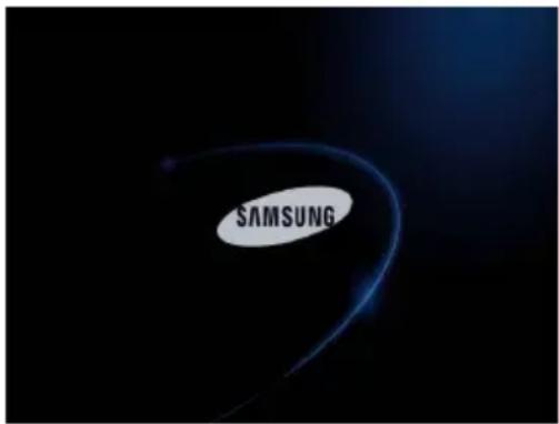 SAMSUNG NP300V5ZH - Entering the BIOS Setup - 1