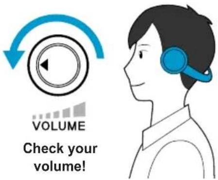 SAMSUNG NP300V5ZH - Volume Control (Headphones and Speakers) - 1