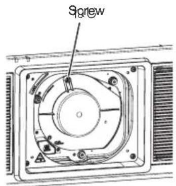 Screw