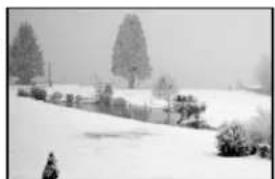 HITACHI P60X901 - IMAGEN PRINCIPAL CONGELADA (MAIN FREEZE) - 4