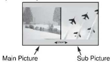Main Picture Sub Picture