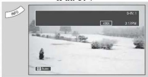 INFO S-IR:1 4800 3:17PM Auto