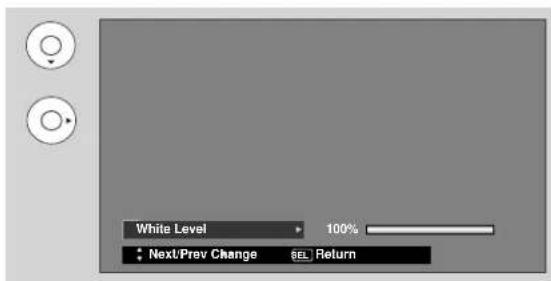 White Level 100% • Next/Prev Change SEL Return