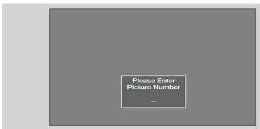 Please Enter Picture Number --