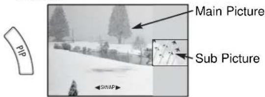 Main Picture Sub Picture PIP SWAP