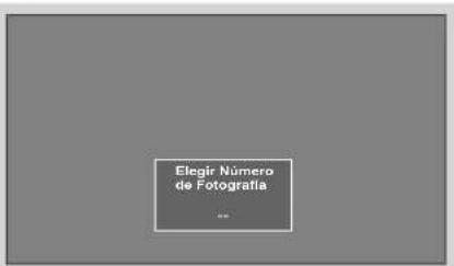 Elegir Número de Fotografía