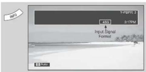 INFO Y-PSPT: 3 490Ω 3:17PM Input Signal Format Auto