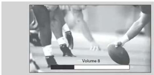 Volume 8