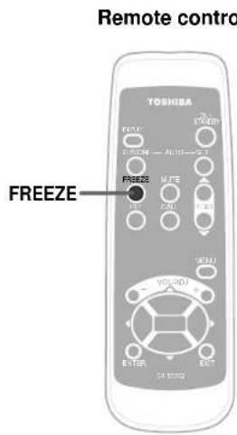 Remote control TOSHISA FREEZE VOLT-01 VOLT-02 EXITER EXIT