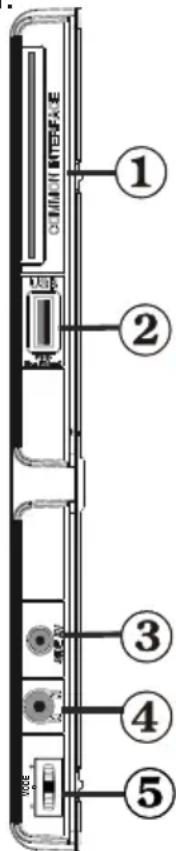 Sunstech 22LEDTALUS - Vista de las conexiones - Conectores Laterales - 1