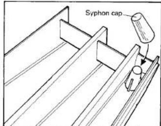 Syphon cap
