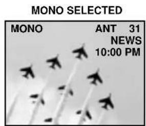 MONO SELECTED MONO ANT 31 NEWS 10:00 PM