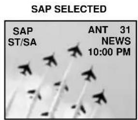 SAP SELECTED SAP ANT 31 ST/SA NEWS 10:00 PM