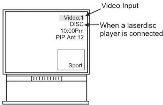 Video Input Video:1 DISC 10:00Pm PIP Ant 12 When a laserdisc player is connected Sport