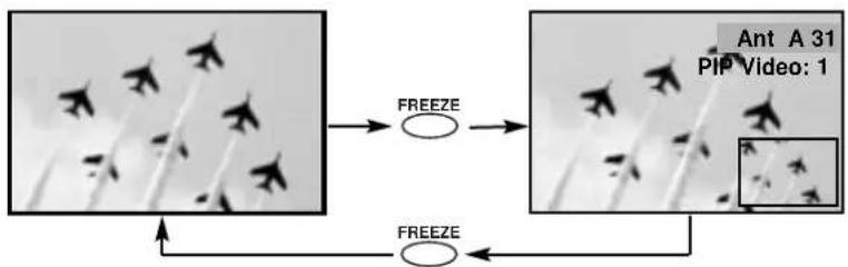 HITACHI 50FX20B - Quick FREEZE button - 1