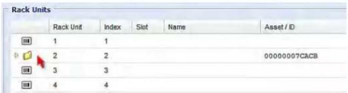 Rack Units Rack Unit Index Slot Name Asset / ID 1 1 2 2 00000007CACB 3 3 4 4