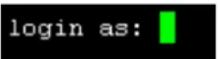 Raritan Dominion PX2-5198R - To log in using SSH or Telnet: - 1